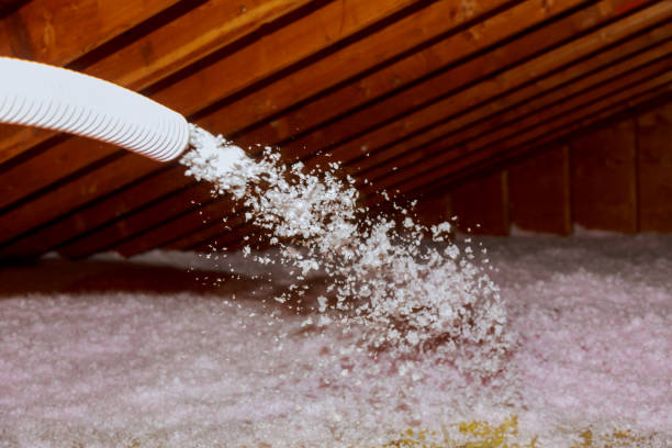 Best Affordable Insulation Services  in Greenbriar, VA