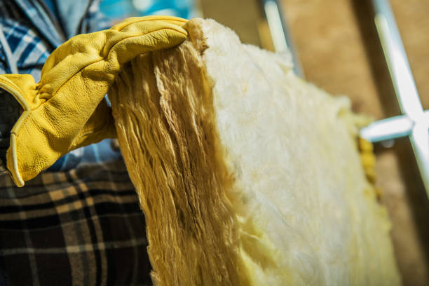 Best Professional Insulation Contractor  in Greenbriar, VA