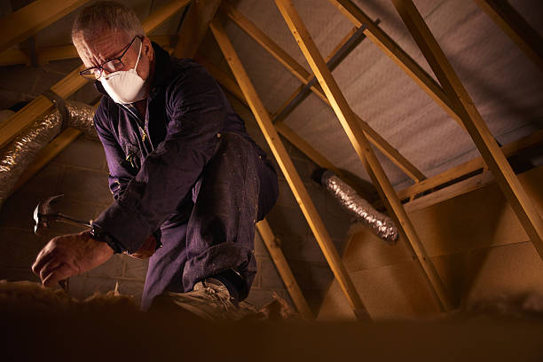 Best Energy-efficient Insulation  in Greenbriar, VA